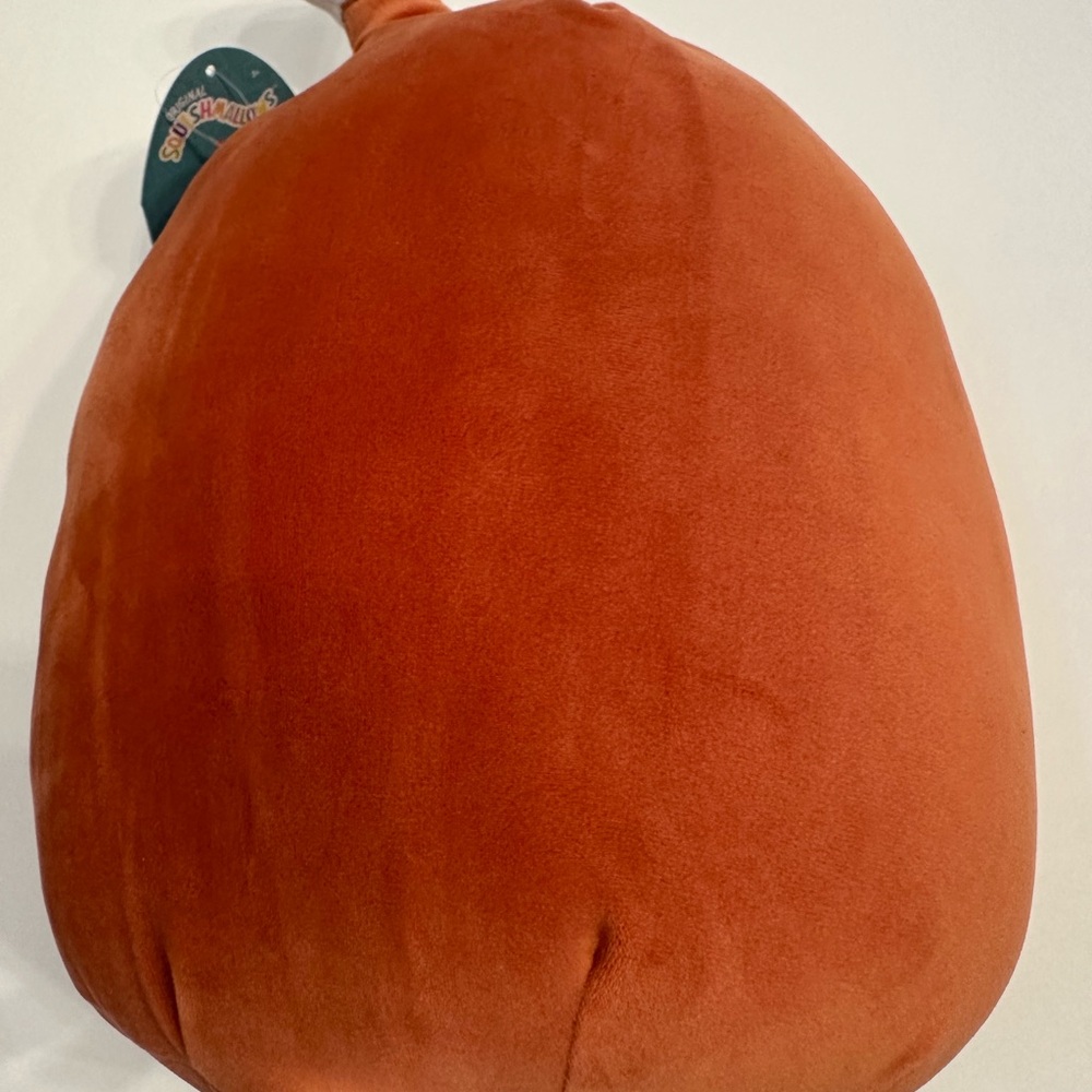 NWT Missy Me #2568 Teriyaki Chicken Wing Squishmallow Rare 
Smoke free home - Picture 3 of 4
